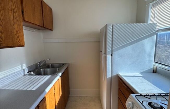 1 bed, 1 bath, 505 sqft, $1,495, Unit 16