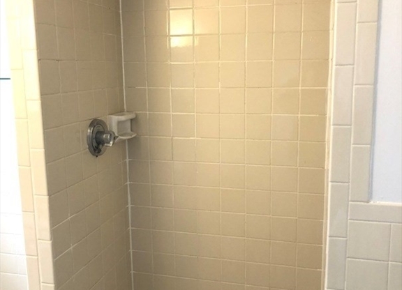 1 bed, 1 bath, 400 sqft, $2,700, Unit 704