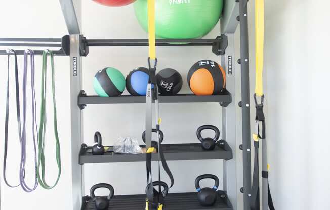 kettle bells, medicine balls at Skylark, Georgia, 31401