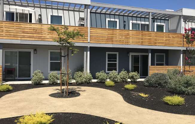 a courtyard with a tree and shrubs in front of a building