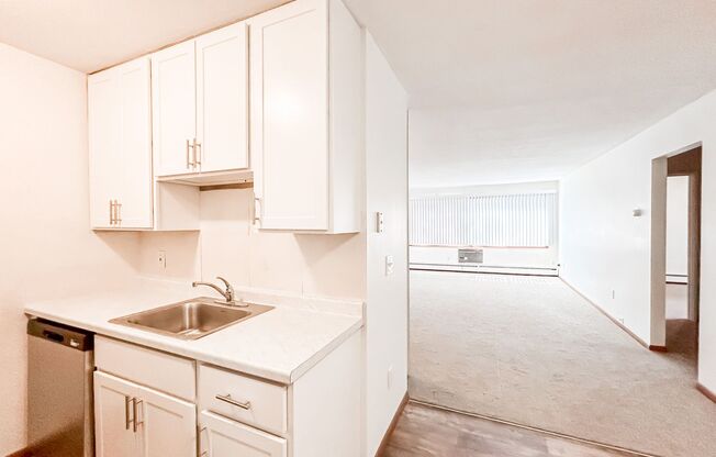 1 bed, 1 bath, 625 sqft, $985, Unit 301