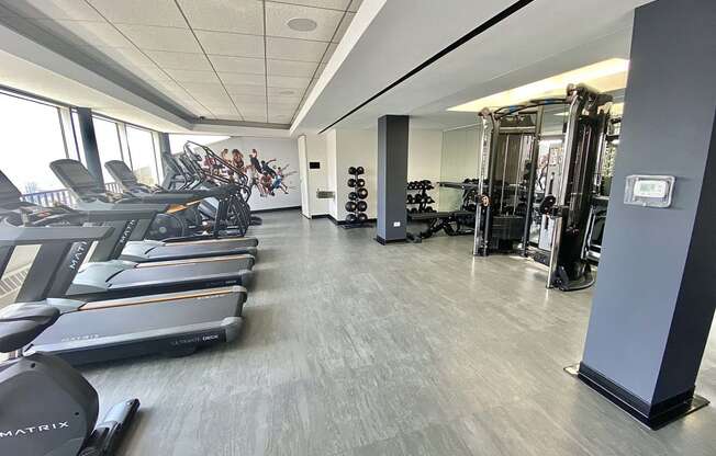 a state of the art gym with cardio machines and weights