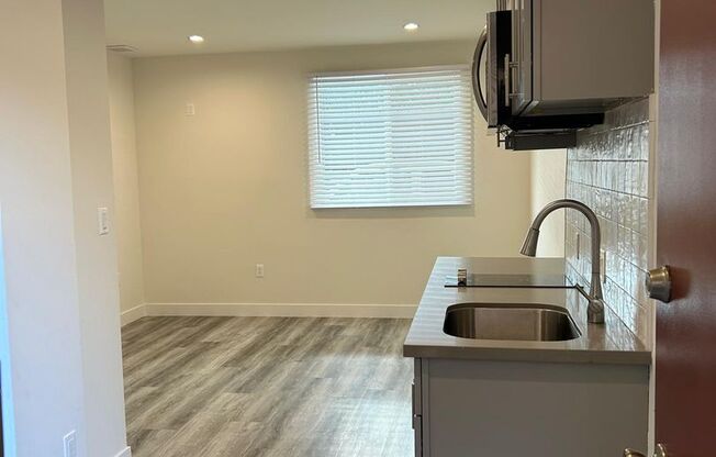 Studio, 1 bath, $1,299, Unit 117