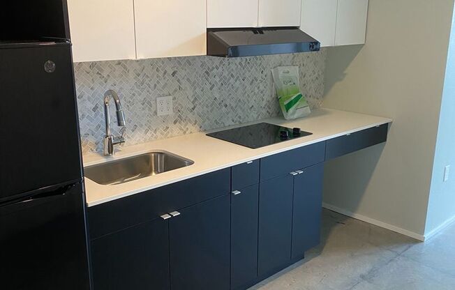 Studio, 1 bath, 350 sqft, $1,425, Unit 206