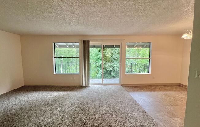 #130 HYDE PARK TERRACE