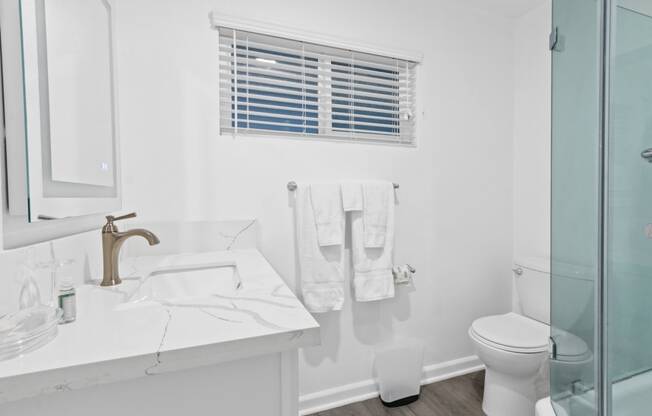 a bathroom with a sink and a toilet and a shower