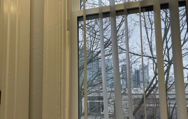 Studio, 1 bath, 300 sqft, $1,230, Unit 308