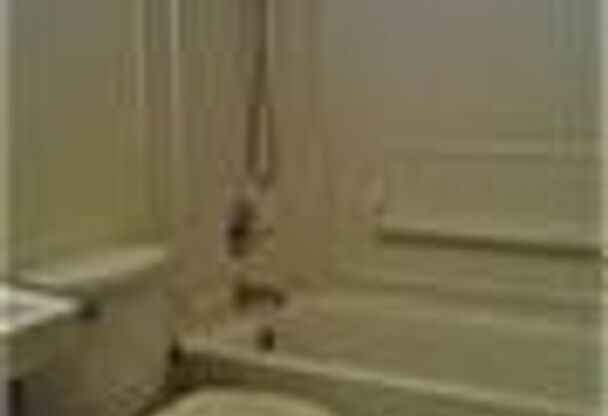 975-977-979 S Lowell Blvd