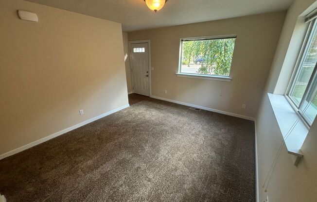 The Pirate Lane Duplex Collection!