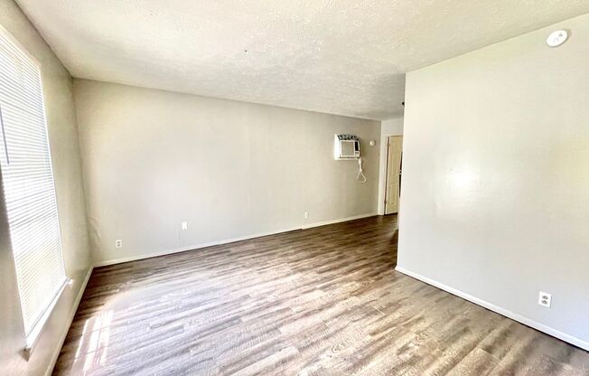 Renovated 1 Bedroom / 1 Bathroom in Madison! Pet friendly! A block from everything you need!