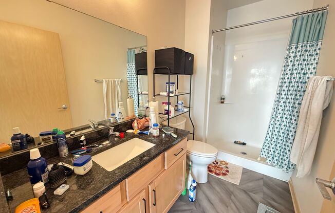 2 beds, 2 baths, 1,029 sqft, $2,395, Unit Unit 304