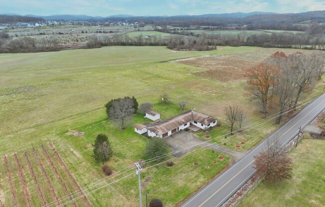 **4 BEDROOM SINGLE LEVEL RANCH HOME ON ACRE LOT IN WILLIAMSON COUNTY**