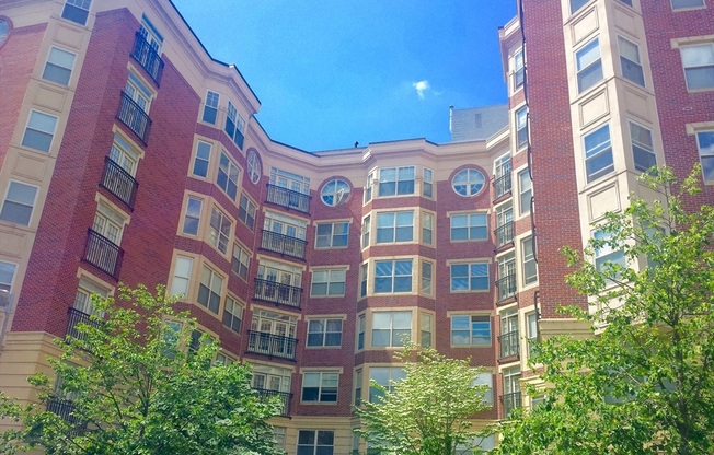 75 Peterborough St.