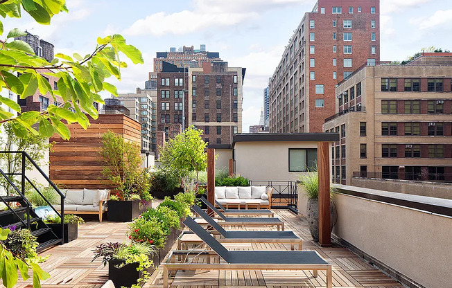 1 bed, 1 bath, $6,250, Unit 1P