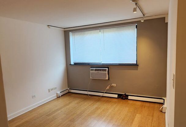 Studio, 1 bath, 350 sqft, $1,250, Unit 105