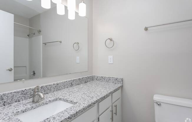 a bathroom with a sink and a mirror and a toilet