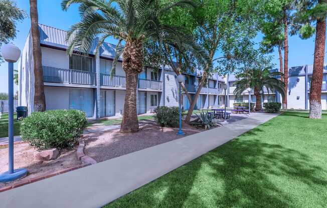 A sunny day at a resort with palm trees and a building in the background.