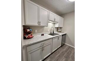 1 bed, 1 bath, 500 sqft, $919