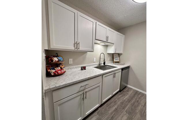 1 bed, 1 bath, 500 sqft, $919