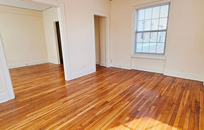 1 bed, 1 bath, 550 sqft, $1,500, Unit 311