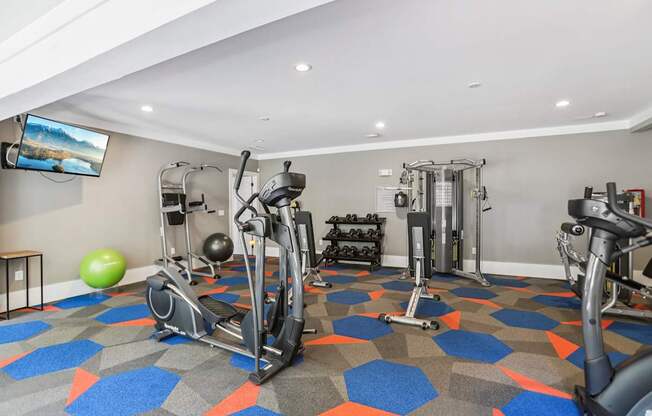 A gym with a variety of equipment including treadmills, weights, and a television.