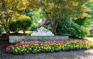 The Bluffs at Mountain Park