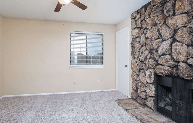 Wood-burning Fireplace in apartment