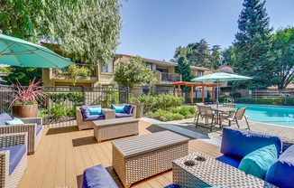 Pool with lounge chairs  l Terra Willow Glen