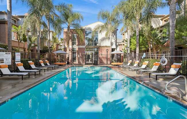 A large swimming pool surrounded by palm trees and lounge chairs.