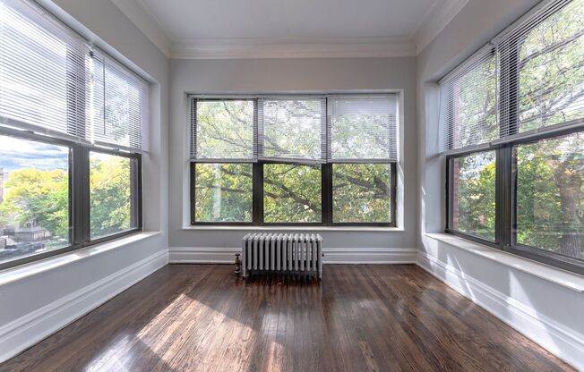 The Albany Park Place