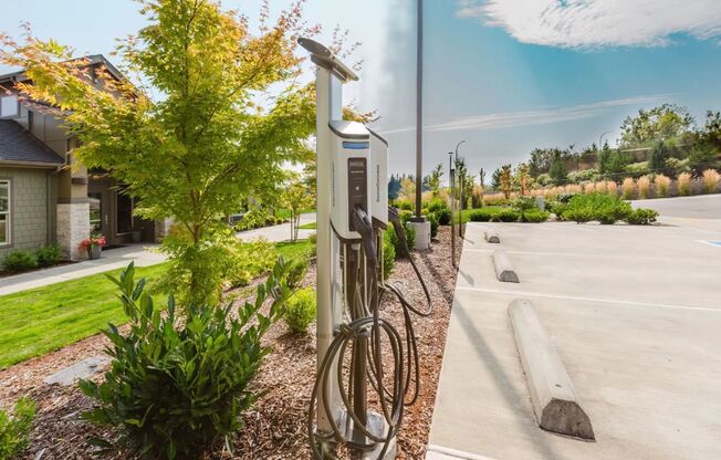 1 bed, 1 bath, 879 sqft, $1,990, Unit 08205