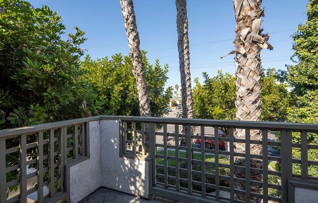 255 Ash Avenue