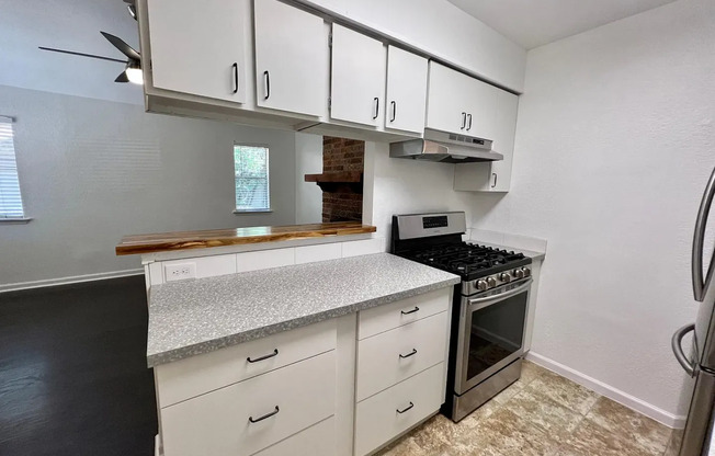Charming 3-Bed Townhouse with Fireplace, Private Yard & Modern Upgrades — 2905 Burning Oak Dr #A