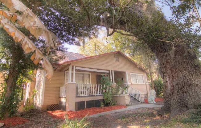 Walk to UF Campus! AUGUST MOVE IN! 4 bed/ 2 Bath walk/bike to Downtown or UF!