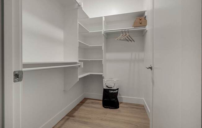 A white closet with a bag of laundry on the floor.