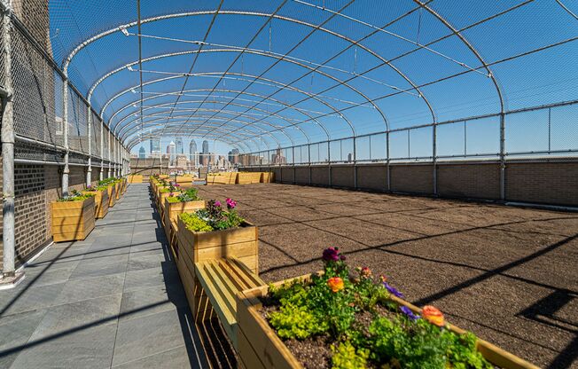 Studio, 1 bath, 388 sqft, $1,241, Unit 100