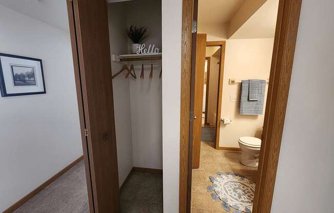 A bathroom with a toilet and a rug on the floor.