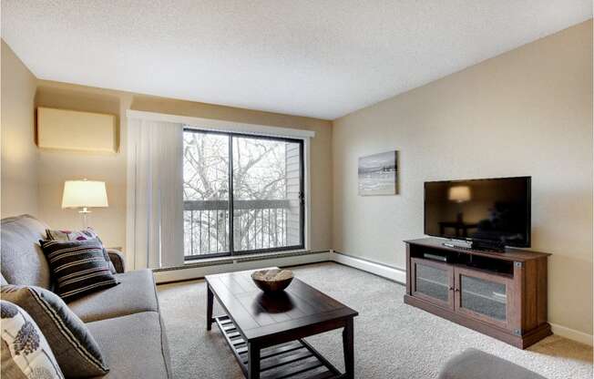 Living Room | Cedars Lakeside Apartments in Little Canada, MN