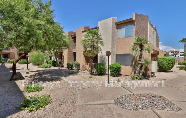 1111 E University Dr.  #241