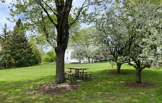 Partner-provided photo for $2100 unit