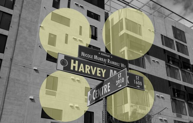 Harvey Hillcrest