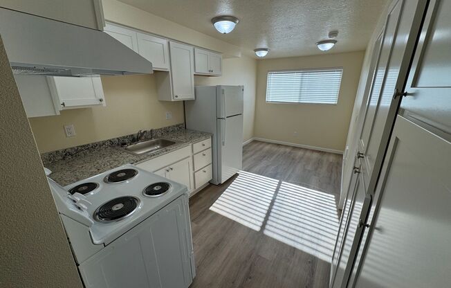 1 bed, 1 bath, 490 sqft, $1,375, Unit 1