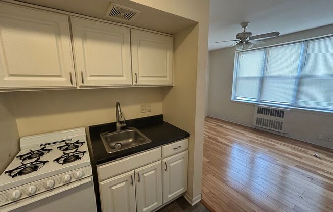 Studio, 1 bath, $750, Unit 310