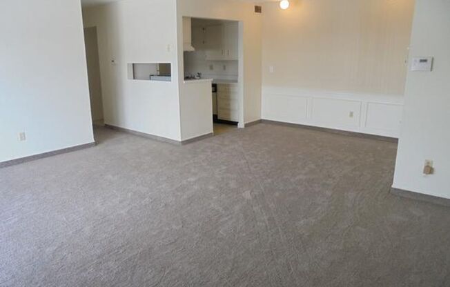 PLUM LEAF COMMONS, LLC (5564)