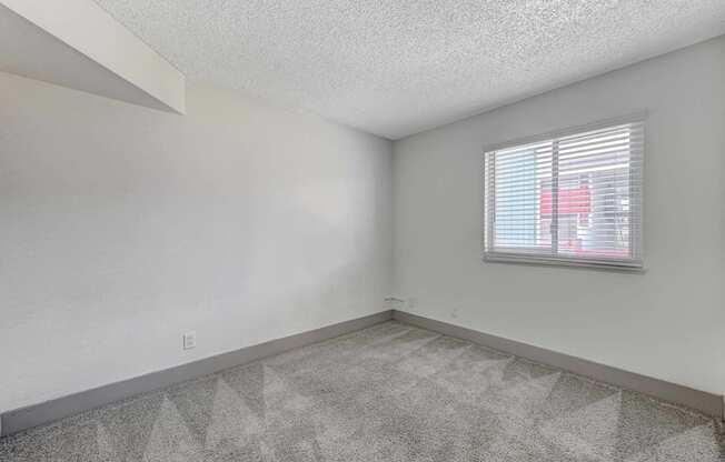 A room with a carpeted floor and a window with blinds.