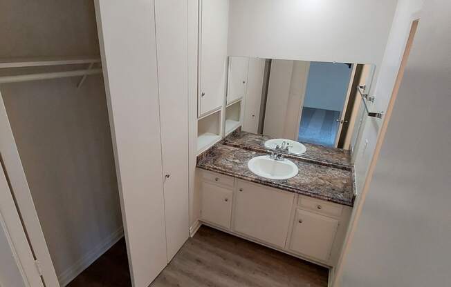 Closet and Vanity Sink