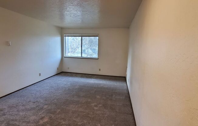 1 bed, 1 bath, 532 sqft, $995