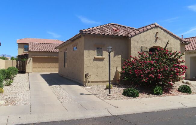 Gated Community At University & Sossamon