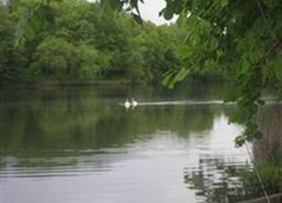 1 bed, 1 bath, 870 sqft, $3,000, Unit 509