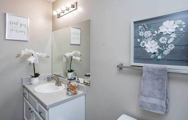 a bathroom with a sink and a mirror and a towel rack